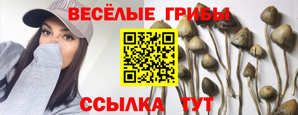 Усолье-Сибирское  где купить наркоту  Вход с VPN  Галлюциногенные грибы прущие грибы 